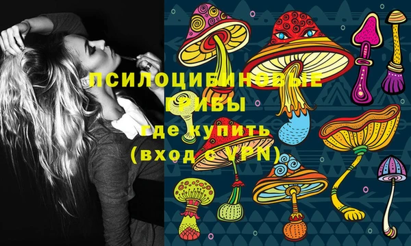 спиды Надым