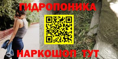 a pvp Жуковский