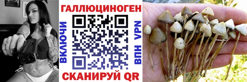 купить   Каменск-Уральский  Псилоцибиновые грибы Magic Shrooms 