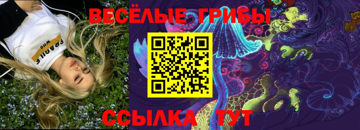 Каменск-Уральский  как найти наркотики  Вход с VPN  Галлюциногенные грибы GOLDEN TEACHER 